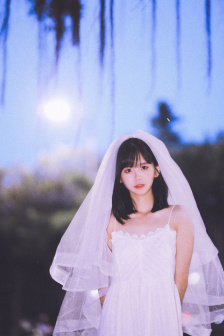 脱色摇床93S